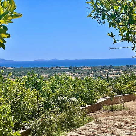 Apartment Linen By Goutos Luxury Living